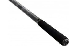 Fishing Rods ZFish: Karpinė meškerė Zfish Kingstone 3.60m