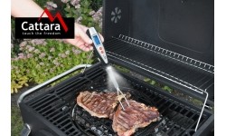 Grill Tools and Accessories Cattara: Skaitmeninis grilio termometras Cattara Fork