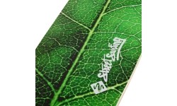 Skateboards and Longboards Street Surfing: Longboardas Street Surfing Fishtail – The Leaf 42”, kinų klevas, ABEC-7