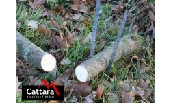 Pjūklai Cattara: Nešiojamas rankinis grandininis pjūklas Cattara 100 cm