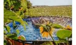 Above Ground Pools Exit: Baseinas EXIT Wood ø427x122cm su pompa su filtru - rudas