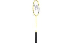 Badmintono rinkiniai Wish: ALUMTEC 4466 BADMINTONO RINKINYS 2 VNT. + SMIGINIS 3 VNT. + TINKLELIS + NORŲ LINIJOS