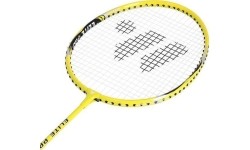 Badmintono rinkiniai Wish: ALUMTEC 4466 BADMINTONO RINKINYS 2 VNT. + SMIGINIS 3 VNT. + TINKLELIS + NORŲ LINIJOS