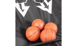 Krepšinio stovai inSPORTline: Dvigubas krepšinio rinkinys su rezultatų lentele inSPORTline Calister