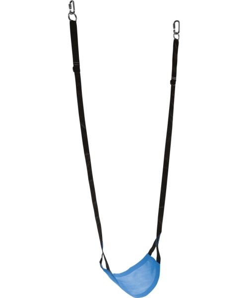 Outdoor Toys : Bino swings, blue