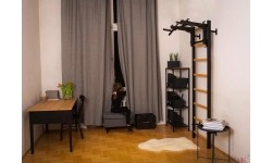 Wall Bars BenchK: BenchK 233B gimnastikos kopėčios