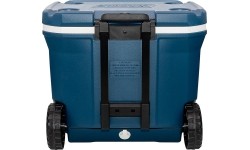 Šaltkrepšiai Coleman: "Coleman" ledo dėžė "Xtreme" 50 QT