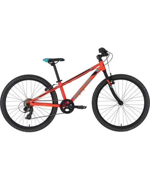 Children's and Junior Bikes : KELLYS Kiter 30 24" dydis 11" (28cm) (oranžinė/žydra/juoda)