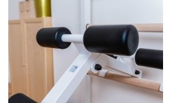 Wall Bars BenchK: BenchK 233W gimnastikos kopėčios
