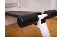 Wall Bars BenchK: BenchK 233W gimnastikos kopėčios