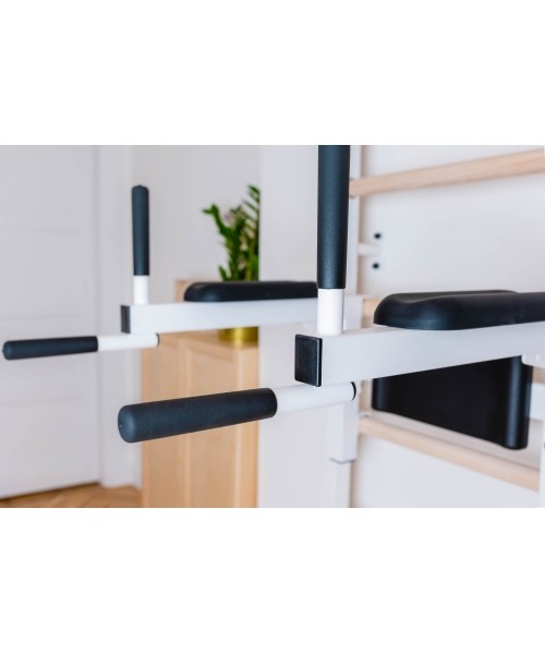 Wall Bars BenchK: BenchK 222W gimnastikos kopėčios