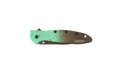 Hunting and Survival Knives : Kershaw Leek 1660MINT sulankstomas peilis