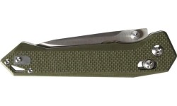 Hunting and Survival Knives Ganzo / Firebird: Ganzo Firebird FB7651-GR sulankstomas peilis