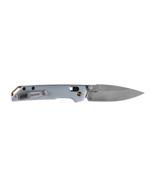 Hunting and Survival Knives : Kershaw Mini Iridium 2051 sulankstomas peilis