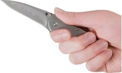 Medžiokliniai ir išgyvenimo peiliai : Sulankstomas peilis Kershaw Leek 1660CB