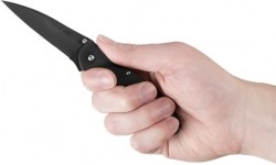 Medžiokliniai ir išgyvenimo peiliai : "Kershaw Leek" sulankstomas peilis 1660CKT