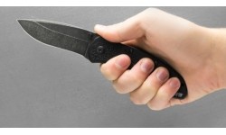 Hunting and Survival Knives : Peilis Kershaw Blur 1670BW