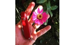 Multifunction Tools and Knives : Kišeninis peilis Victorinox Huntsman, 1.3713, 15 funkcijų