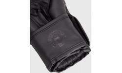 Boxing Gloves Venum: Bokso pirštinės Venum Challenger 2.0 Kids - juodos