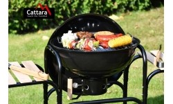 Anglies griliai Cattara: Anglies grilis Cattara Messina 46 cm