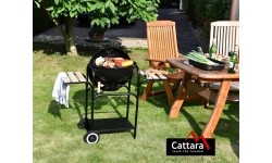 Anglies griliai Cattara: Anglies grilis Cattara Messina 46 cm