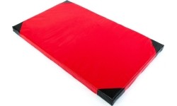 Čiužiniai sportui Marbo Sport: Gimnastikos čiužinys Marbo MC-M002 PRO T40 200x120x10cm