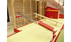 Gymnastics Rings : MUSCLE-TRAINING BENCH FOR USE ON WALL BARS