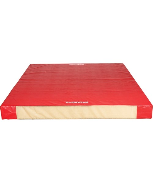 Mattresses & Tatami : TRADICINIS SAUGUS KILIMĖLIS - VIENO PLOTO - PVC DANGTAS - 240 x 200 x 20 cm