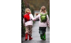 Aksesuarai krepšiams ir kuprinėms LittleLife: Vaikiška kuprinė-boružėlė Littlelife Toddler Backpack Ladybird