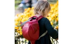 Backpack and Bag Accessories LittleLife: LittleLife Kids Backpack - Dragon