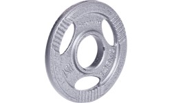 50 mm - Plieniniai svoriai inSPORTline: Plieninis svoris olimpiniam grifui 50mm inSPORTline Hamerton 1,25kg