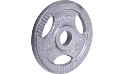 30 mm - Plieniniai svoriai inSPORTline: Plieninis svoris grifui 30mm inSPORTline Hamerton 5kg
