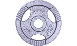 30 mm - Plieniniai svoriai inSPORTline: Plieninis svoris grifui 30mm inSPORTline Hamerton 5kg