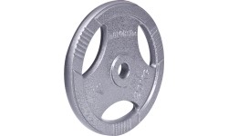Steel inSPORTline Plates inSPORTline: Plieninis svoris grifui 30mm inSPORTline Hamerton 20kg