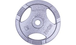Steel inSPORTline Plates inSPORTline: Plieninis svoris grifui 30mm inSPORTline Hamerton 20kg