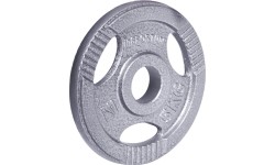 50 mm - Plieniniai svoriai inSPORTline: Plieninis svoris olimpiniam grifui 50mm inSPORTline Hamerton 5kg