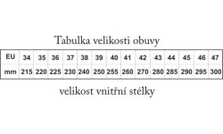 Pačiūžos vaikams ir suaugusiems Worker: Fiksuoto dydžio pačiūžos mergaitėms Worker Lady