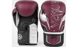 Boxing Gloves Venum: "Venum Elite Evo" bokso pirštinės - bordo/ sidabro spalvos