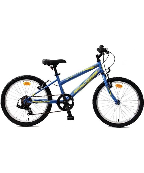 Bikes with 20" Wheels : Vaikiškas dviratis "Reactor Star" 20" - 2024